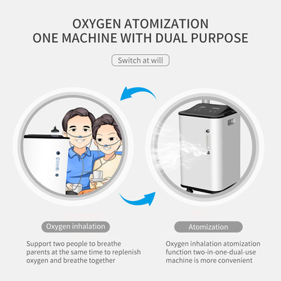 छोटी शुद्धता 93% पोर्टेबल O2 Concentrator 10L कक्षा II