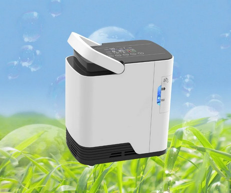 सिंगल फ्लो पोर्टेबल 2 लीटर ऑक्सीजन कॉन्सेंट्रेटर होम 220v . का उपयोग करें
